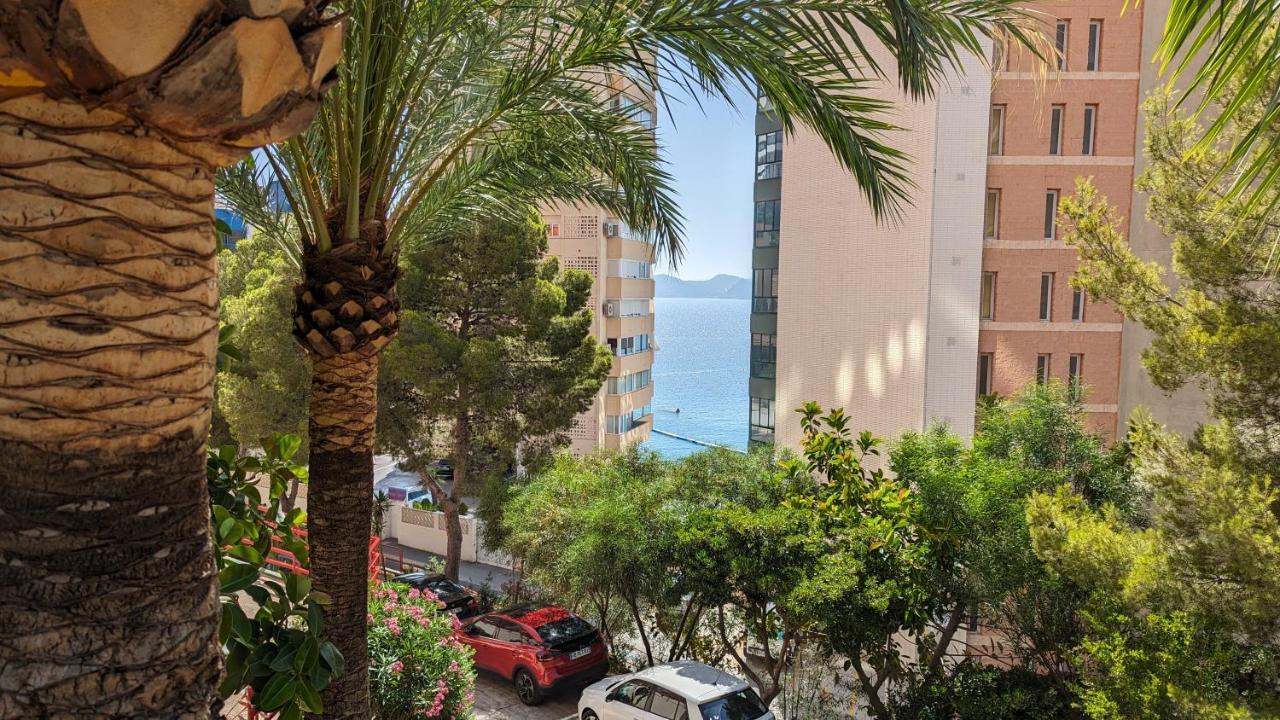 Apartment Don Miguel Sea View
